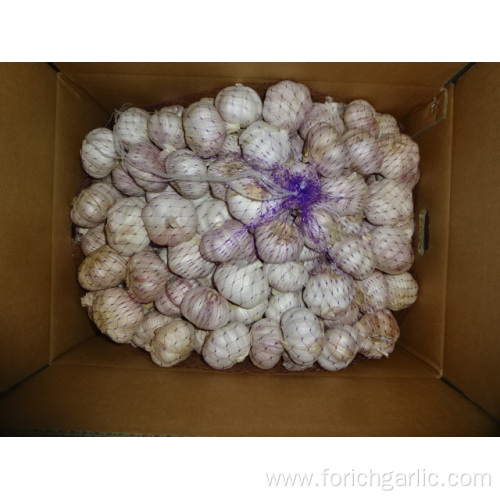 Fresh Normal White Garlic 5.0cm